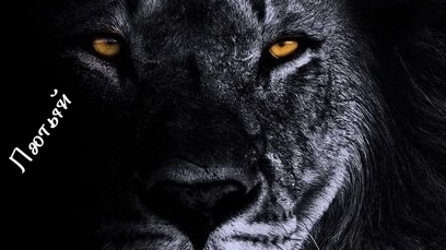 Юмор топ-1 приятного аппетита;)