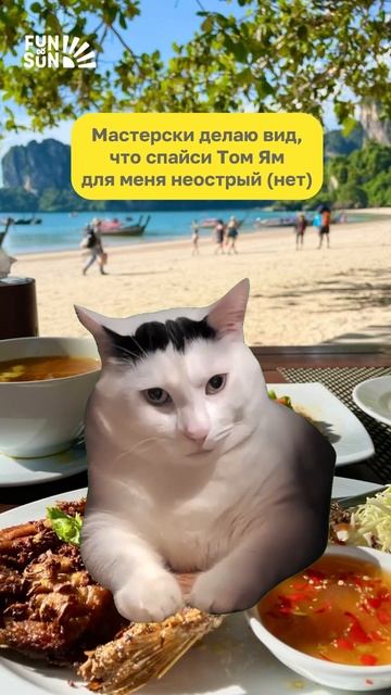 ну а что? а как?