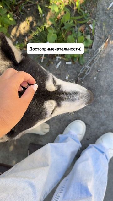 Самая узнаваемая достопримечательность Адлера
