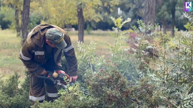 Уход за зелеными насаждениями в Керчи: ежедневный труд профессионалов
