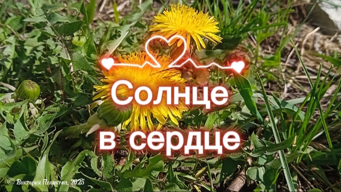 Солнце в сердце - моя очередная песня созданная с помощью ИИ