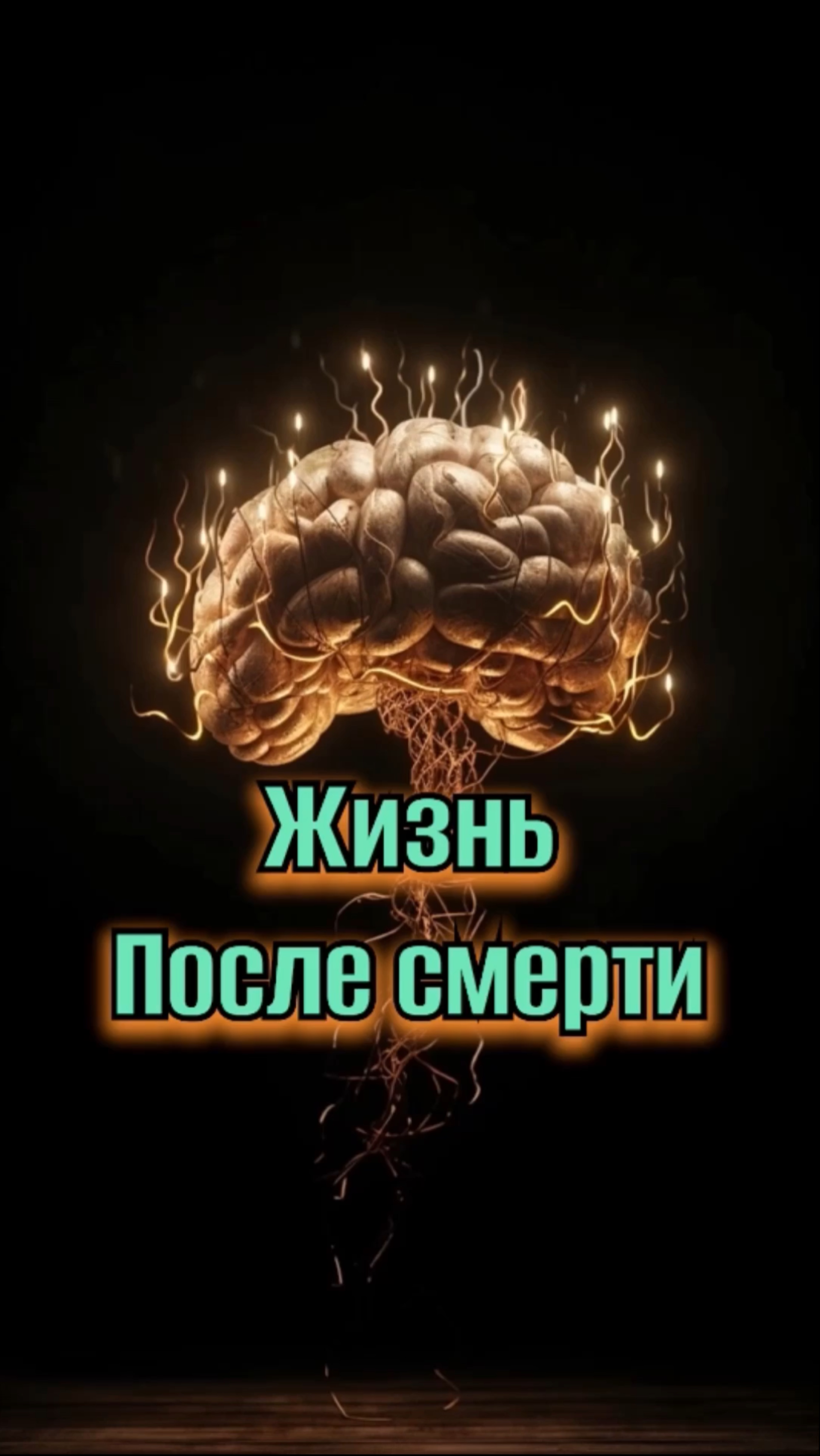 Жизнь после смерти