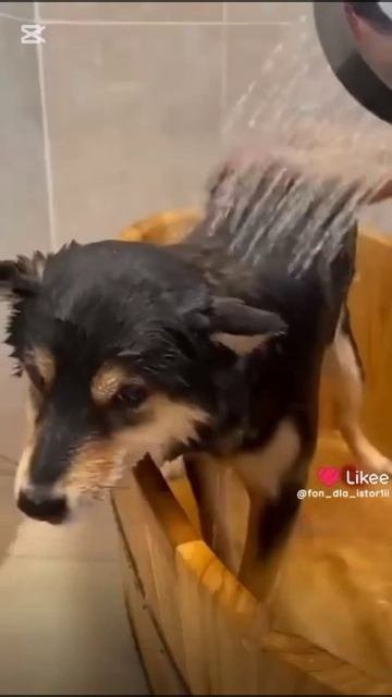 отвечаю на ваши комментарии