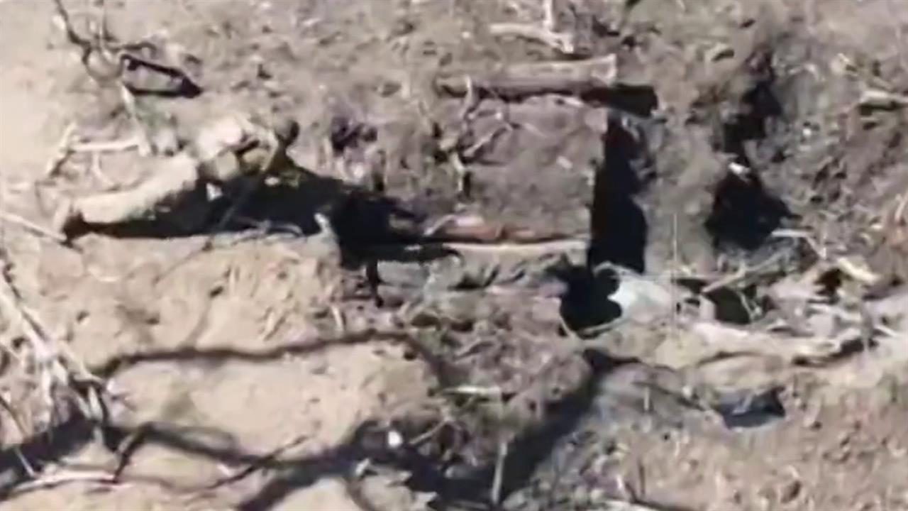 Подробности дерзкой операции, за которую мотострелок Павел Андрианов награжден орденом Мужества