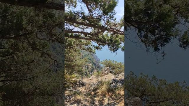 Большая Севастопольская тропа. Балаклава-Ласпи. Ласпи-Байдарские ворота.