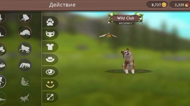 ВИЛД!