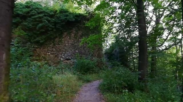 🇵🇱 Вдохновляющий Призыв Истории: Средневековая Крепость Цысы и Древние Сокровища Силезии!