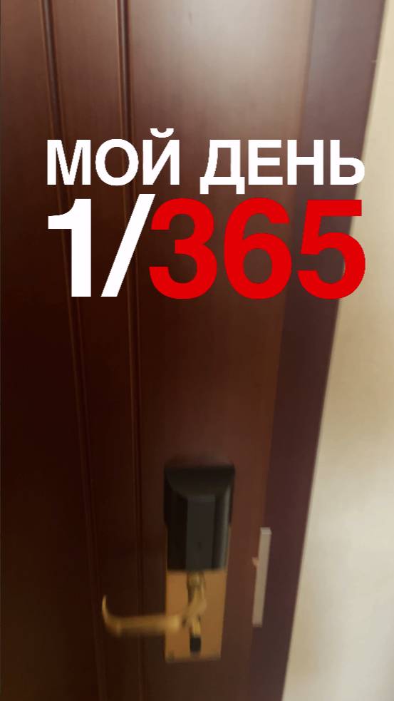 День 1/365