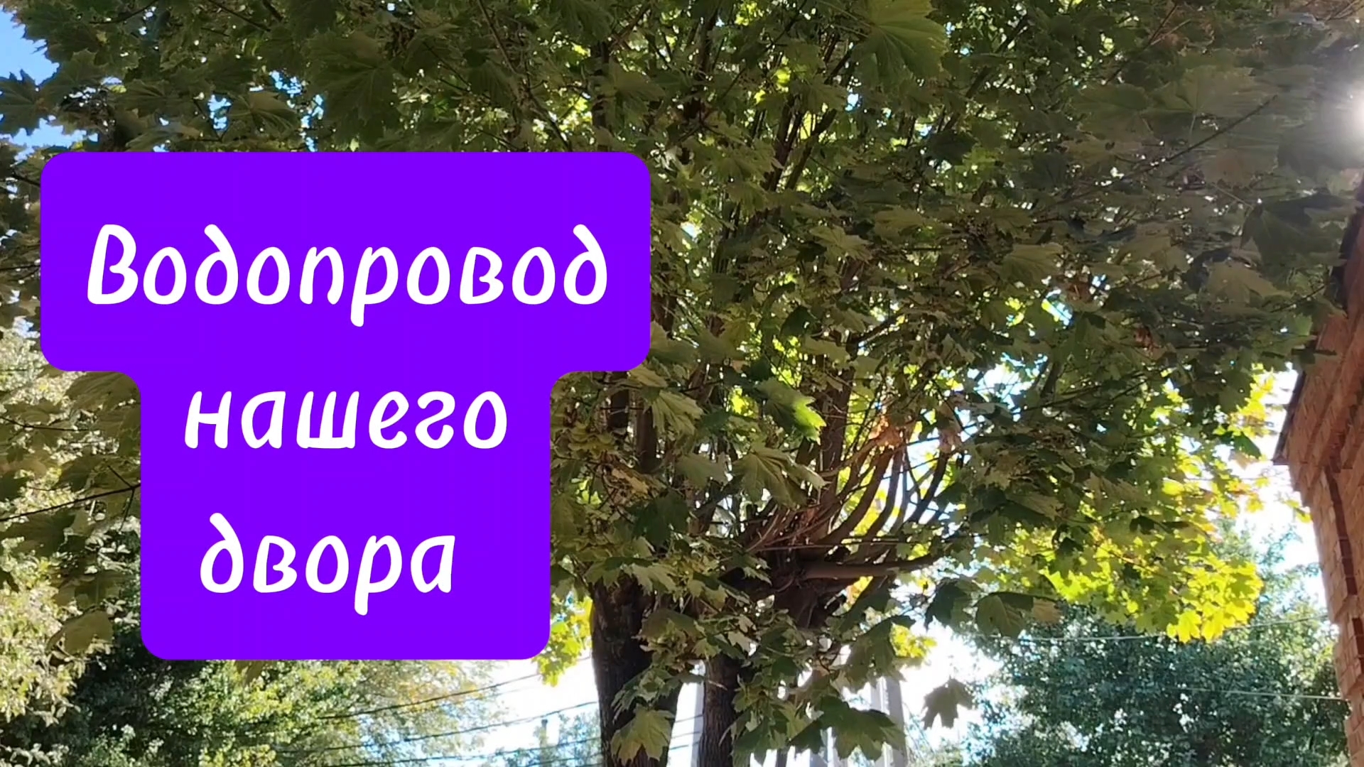 Ейск ! Водопроводные ветки нашего двора старая и новая .