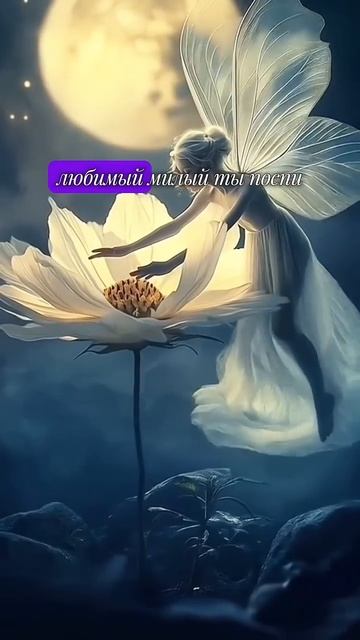 Люблю я так читает автор В Дмитриев #любовь #поэт #стихи #стихидлядуши #поэзия #poetry #love #shorts