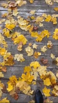 "Я в октябрь влюбилась без памяти...🍁✨❤
