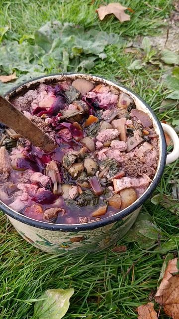 Вечерняя прогулка у гусей  плотный ужин у курочек 