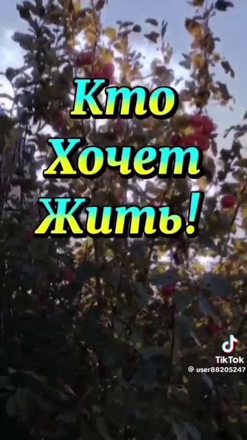 доброе утро