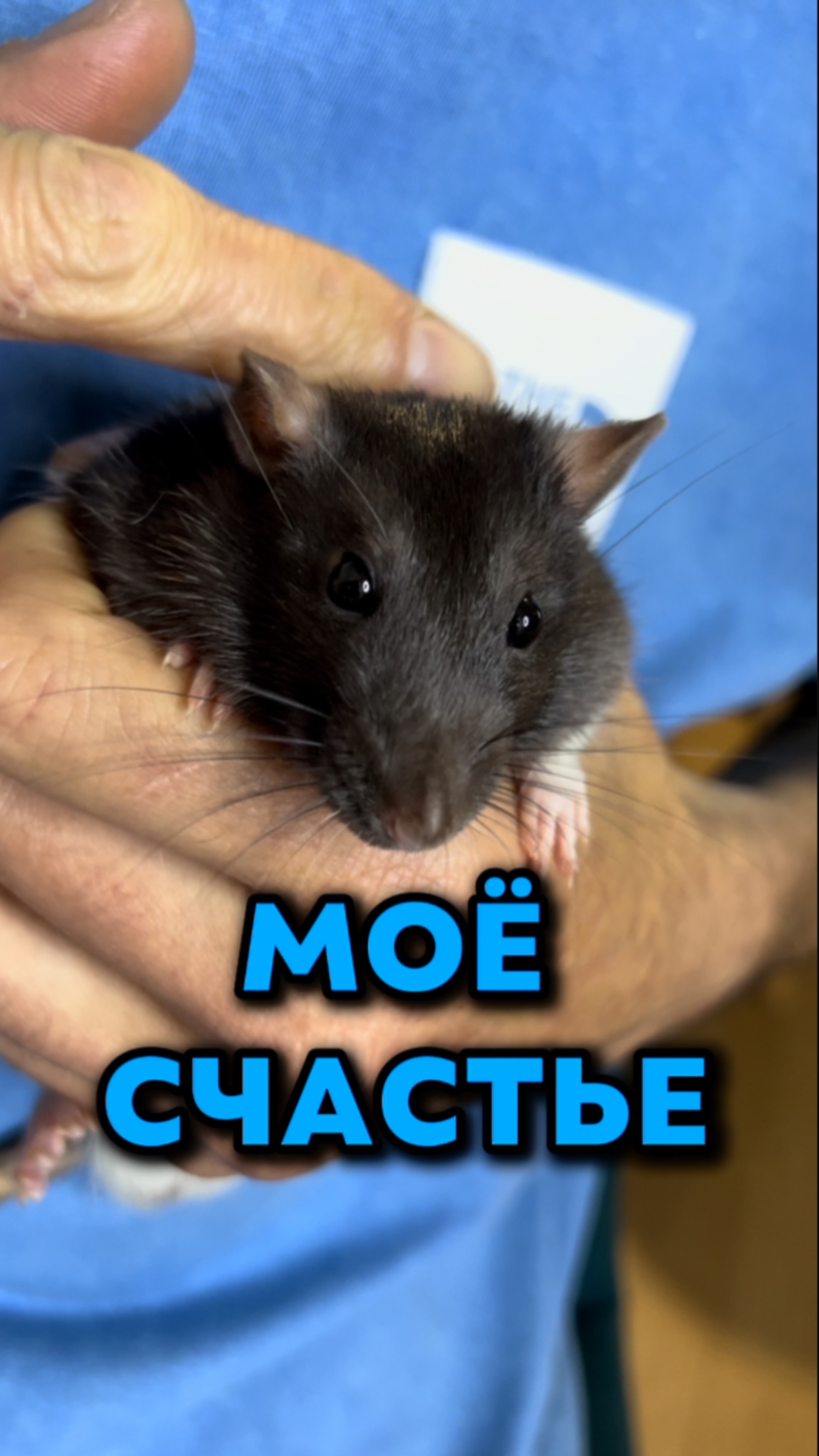 Счастье моё♥️
