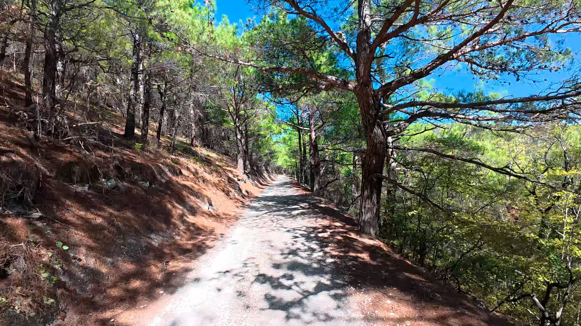 Велотропа ВелоSea Геленджик-Кабардинка