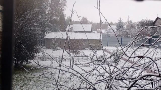 вторник в вольном диком зоопарке за окном