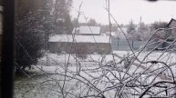 вторник в вольном диком зоопарке за окном
