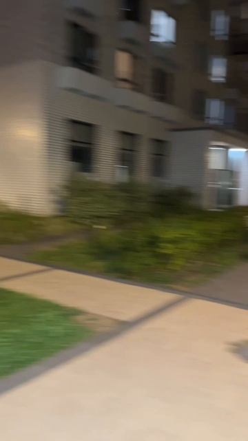 Развлекаемся, как можем #развлечения #графуваров