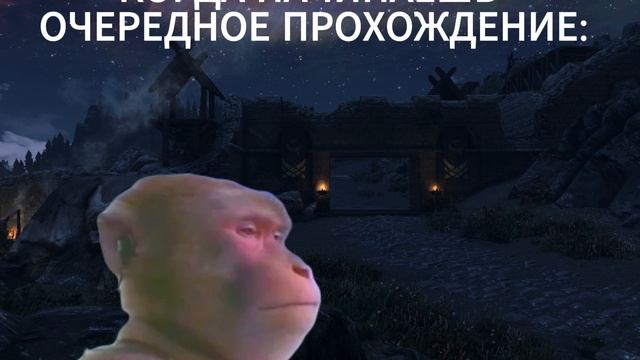 MEM SKYRIM