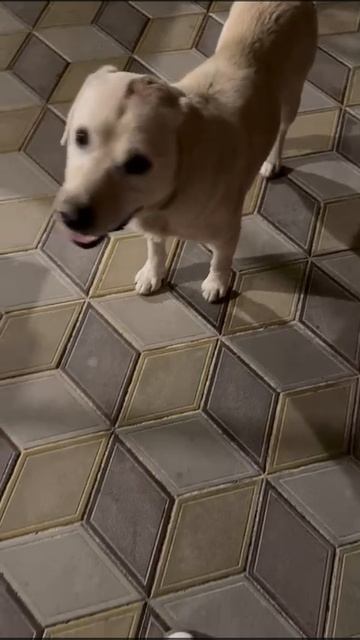 1000605426.mp4