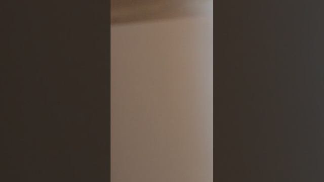 Стрим в школе