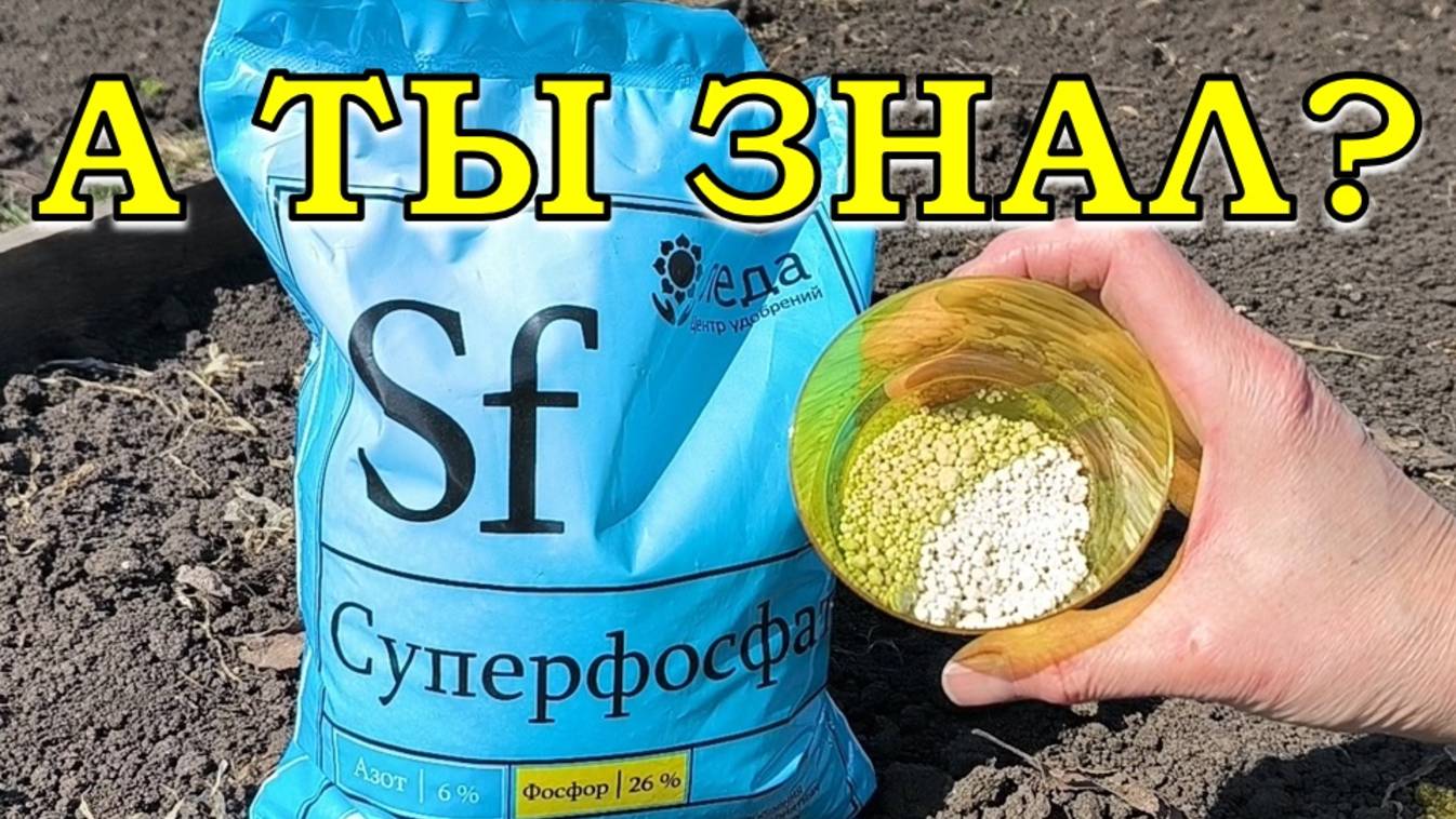 Правильно готовим почву ОСЕНЬЮ 🍁🍁🍁