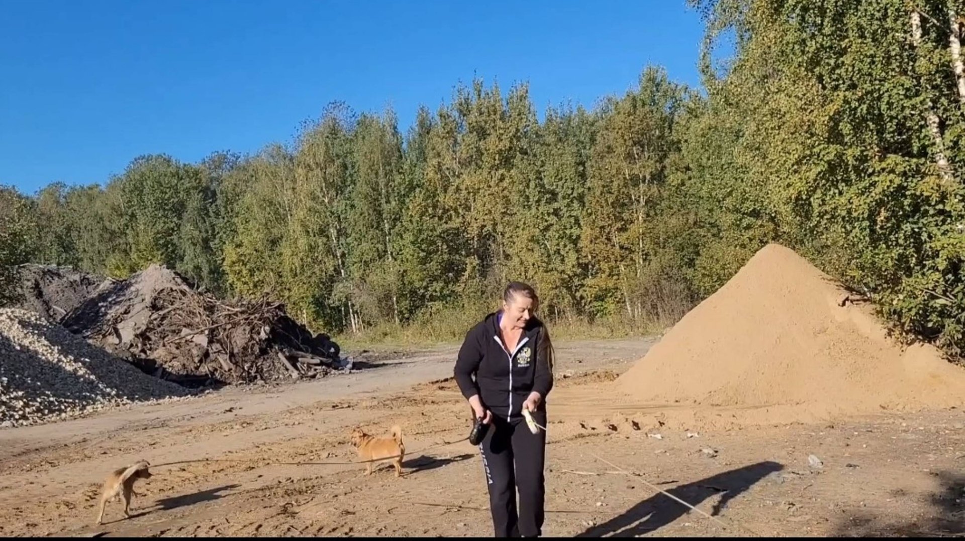 LIVE*PITER: Выгуливаем очередную партию собачек из приюта...