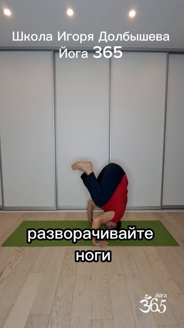 Переход из Бакасаны в Ширшасану