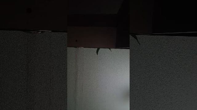 заброшенная игра в роблокс