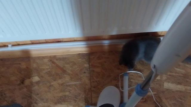 Ниндзя отжигает со своими орешками!
