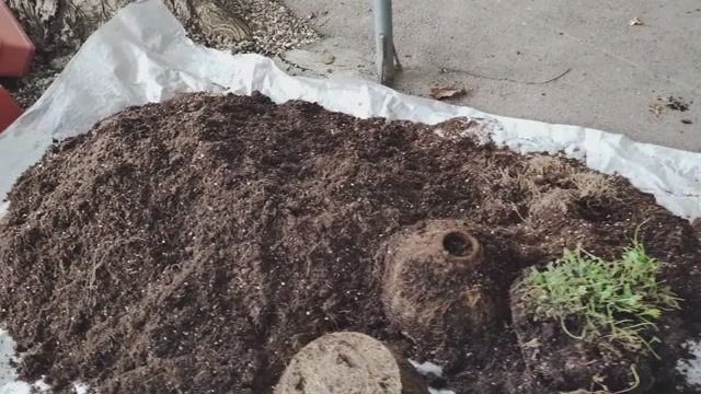 Можно ли использовать старый грунт снова? Ответ удивит.