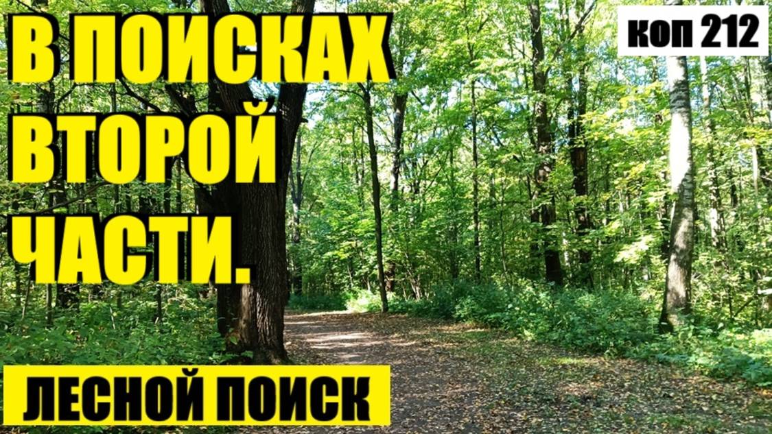 или ИНТЕРЕСНО КАК ОН В ЛЕСУ ТО ОКАЗАЛСЯ?. коп 212