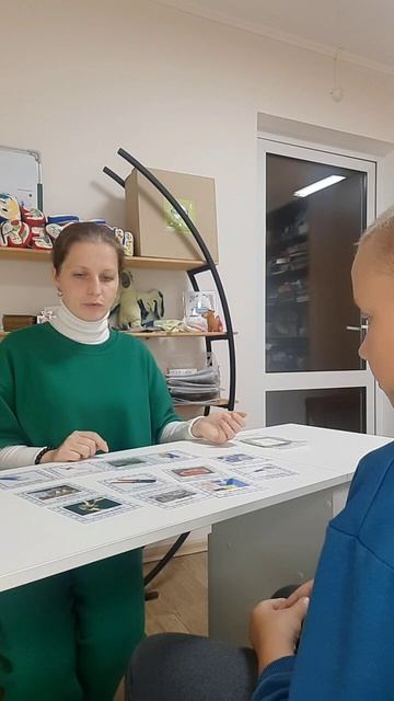 Любимые цвета 5 Навык согласования прилагательных с существительными.