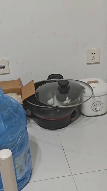 Типичные коты