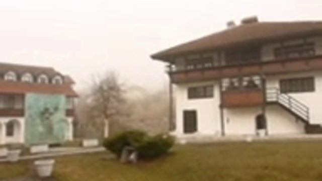 Благоверный князь Владислав Сербский