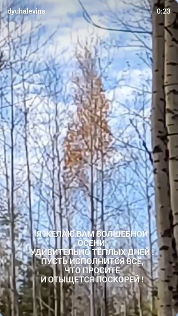 Волшебной осени...
