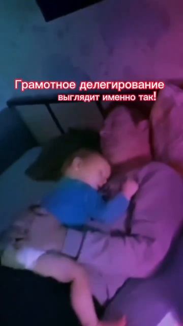 10 августа 2024 г.