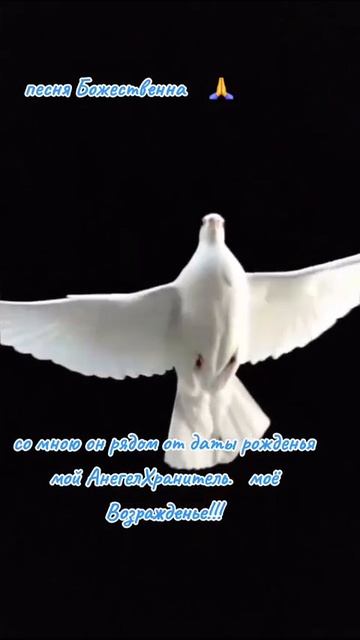 VID-20250928-WA0001