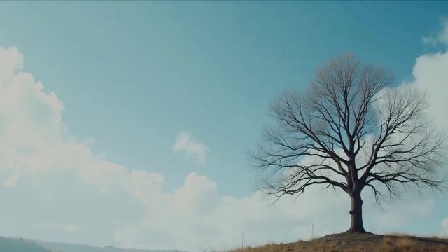 Осенние прогулки сл А Фоииных