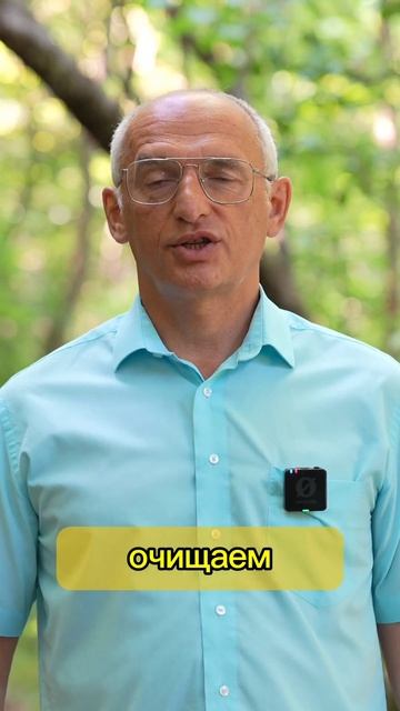 Определение вашей психофизической конституции от Олега Геннадьевича  Ogtorsunov.ru #Торсунов