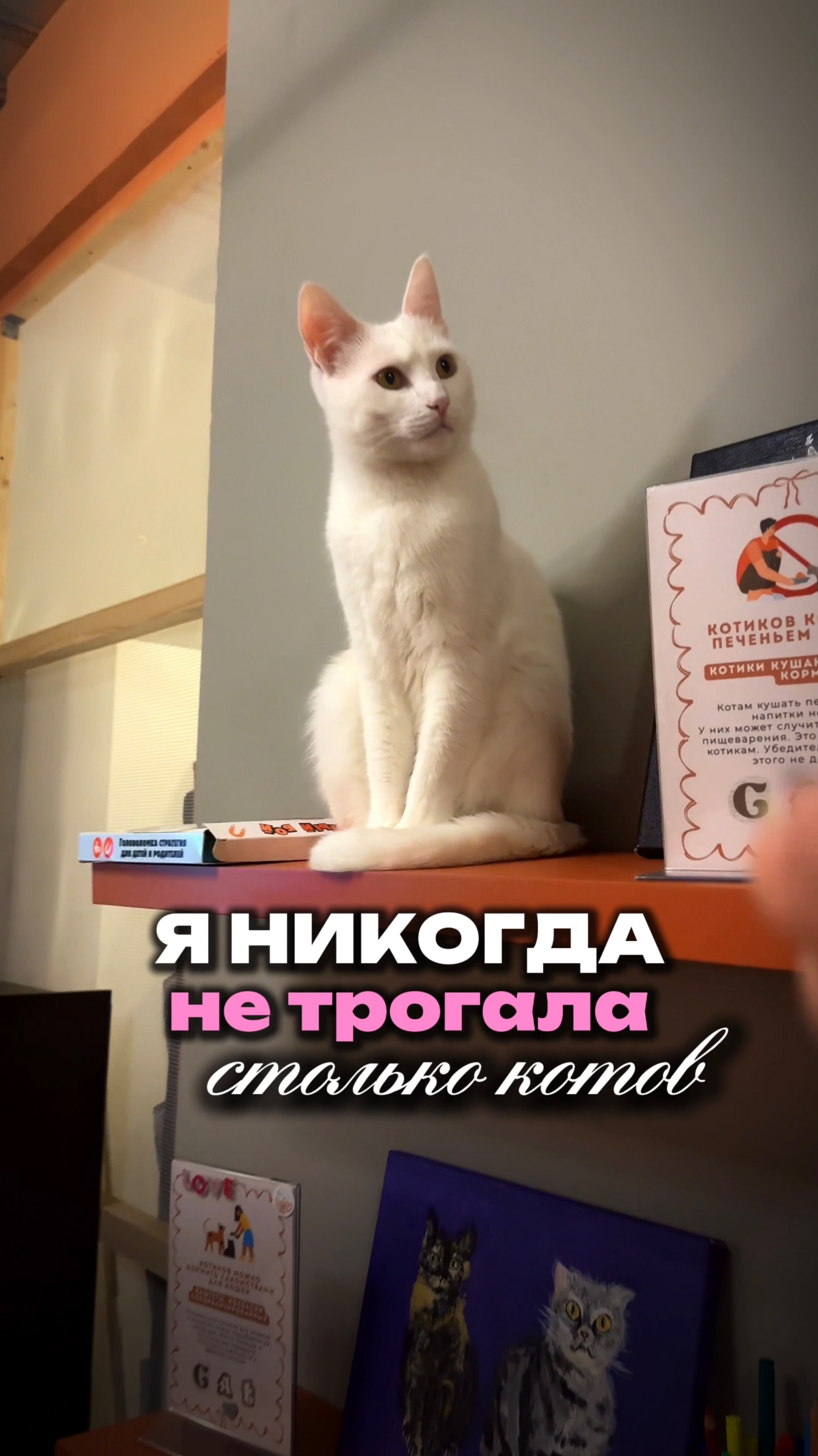Любите кошек? Я очень! Мою их лоток этой пастой Wb:  WW174534 💜