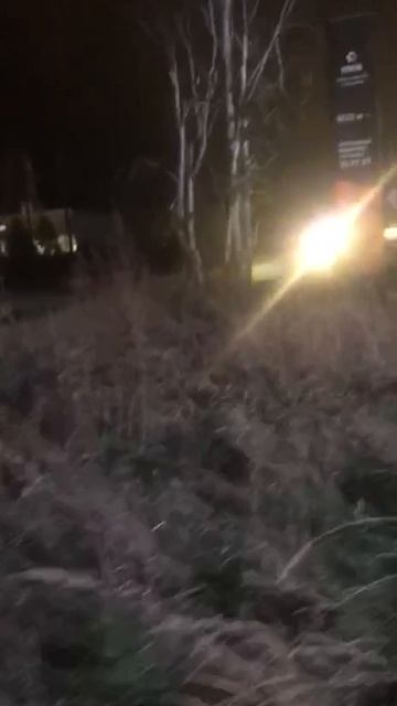 В Тюмени на территории предприятия в мкр Антипино обезврежено три украинских БПЛА.