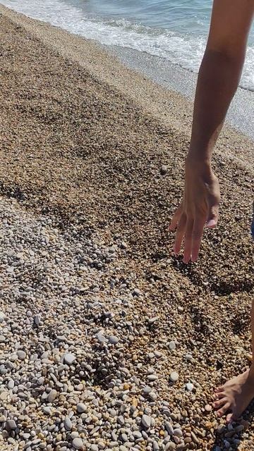 Крымская жирненькая медуза #shorts