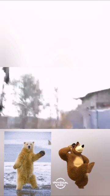 МЕДВЕДЬ 🐻 СМЕХ ДО СЛЁЗ 55 СЕРИЯ 🤣