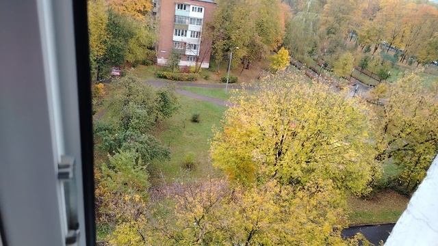 Пасмурный вид, желто-красные листья.