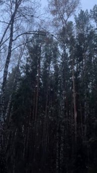 Прогулка по Экопарку Юдинская долина