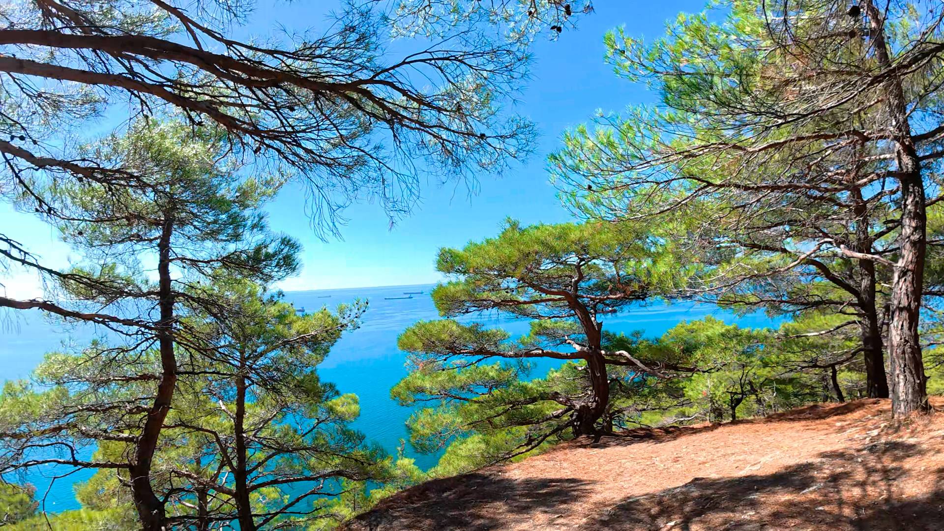 Велотропа ВелоSea Кабардинка-Геленджик