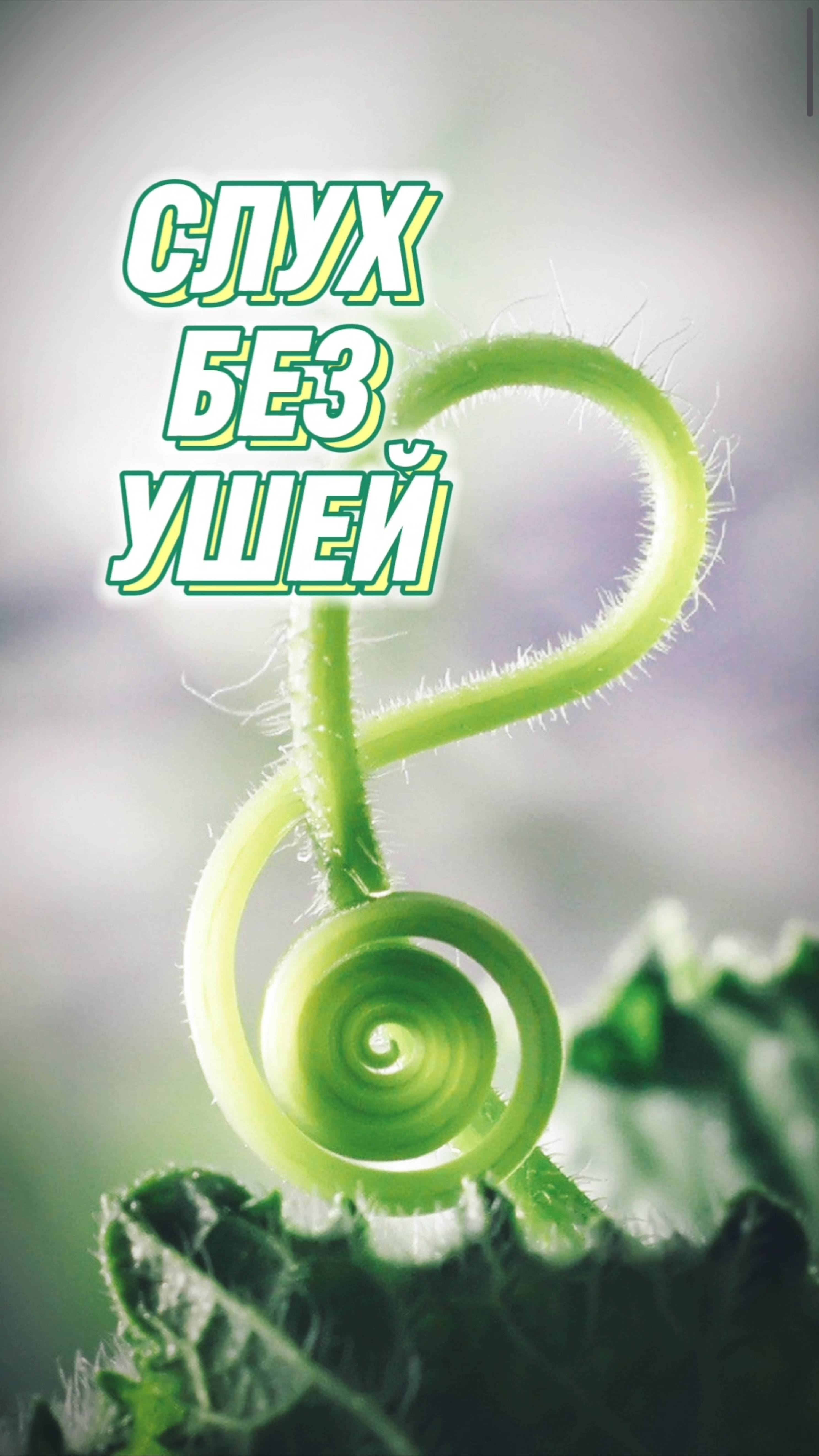 🎼Пока мы слушаем музыку, растения слушают воду