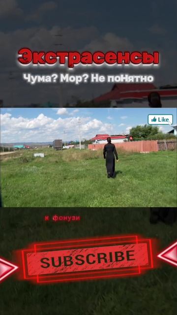 Чума? Мор? Не понятно Plague? Pestilence? It's Not Clear #битваэкстрасенсов #psychics #магия #magic