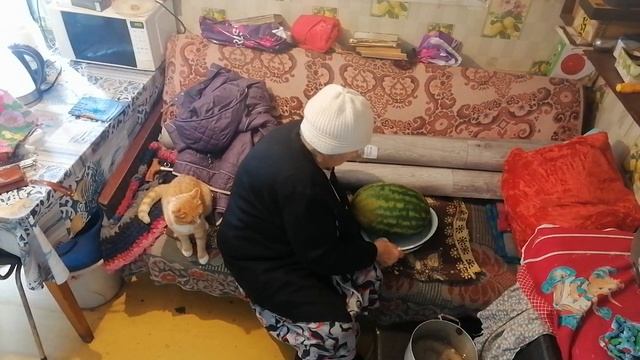 деревня,